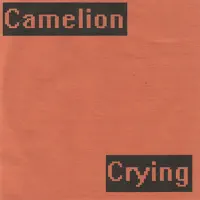 Living Is A Sin — Camelion