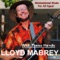 The Clean Up Song - Lloyd Mabrey lyrics
