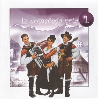 Ansambel Svetlin - Praznik v nasem domu