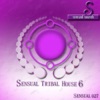 Jenifer Jenifer (DJ Royce Remix) Sensual Tribal House (6)