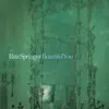 Rita Springer - Rain Down