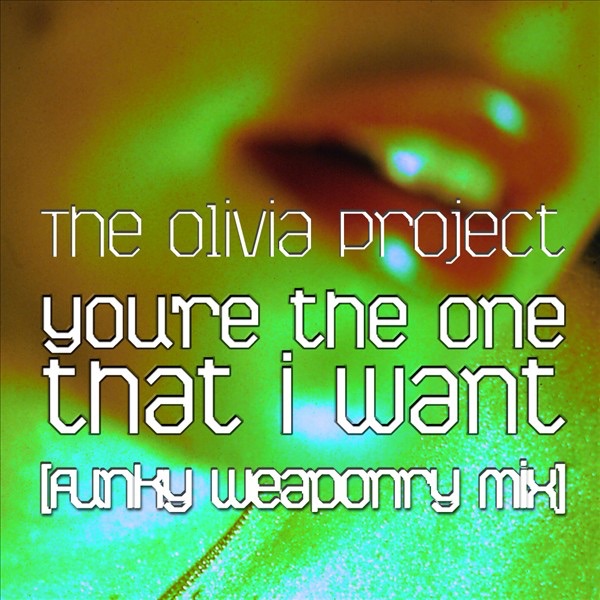 You're the One That I Want (Funky Weaponry Mix) - Single
