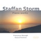 Storm Piano Works