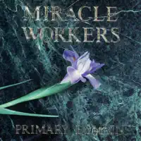 Your Brown Eyes — Miracle Workers
