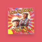 Los Aguilares