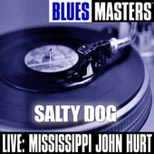 Blues Masters: Salty Dog (Live) artwork