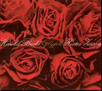 And Then She Stepped Aside — Harold Budd & Hector Zazou