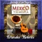 Vagabundo - Salvador García lyrics