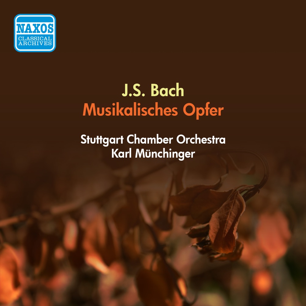 Обложка альбома «Bach: Musical Offering, BWV 1079» — Karl Münchinger & Stuttgart Chamber Orchestra