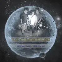 Moonlight Shadow (Radio Mix)