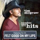 Tim McGraw - Southern Voice