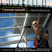 Where the Wild Ones Go - Single - Trevor Sewell