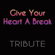 Give Your Heart a Break - Demi Lovato Karaoke Band