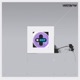 Freak Out EP
