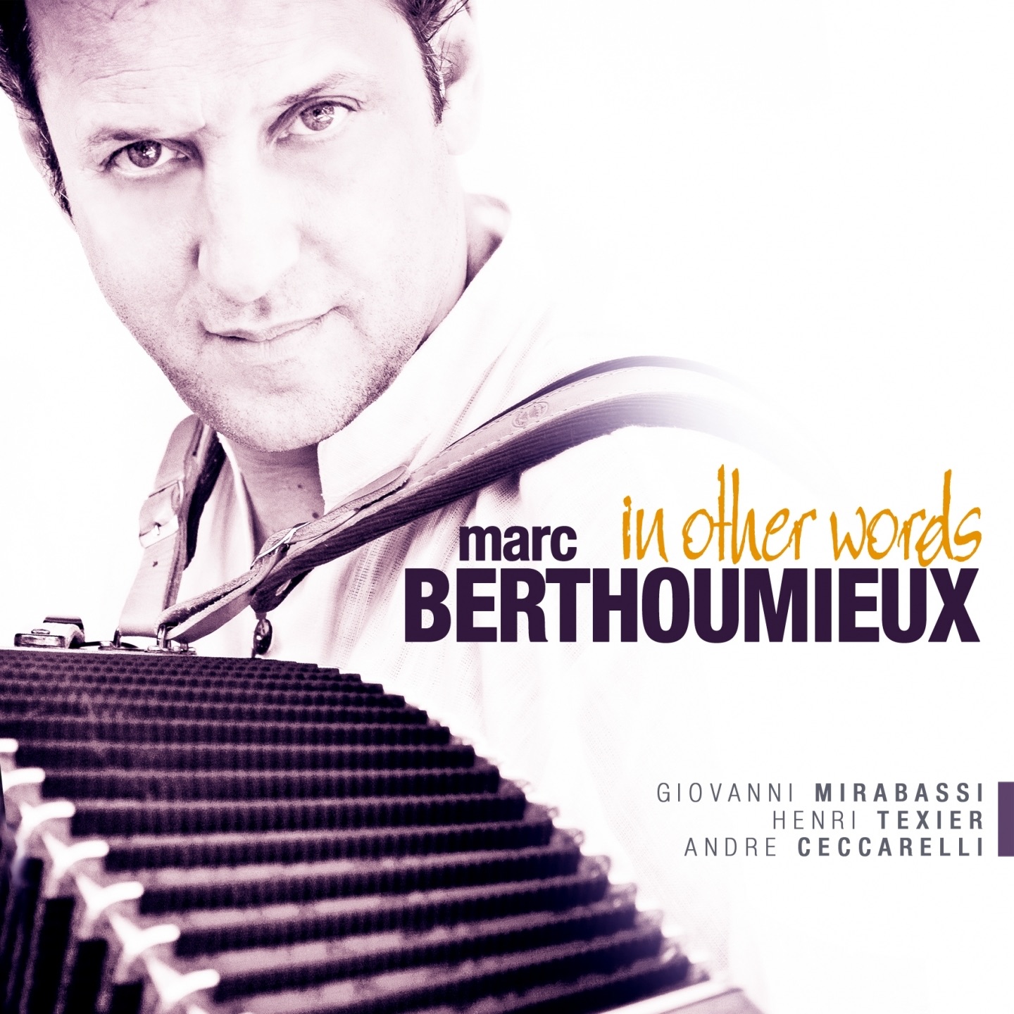 In Other Words by Marc Berthoumieux album cover