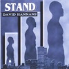 David E. Hannans - Shine