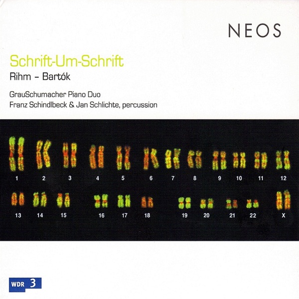 Schrift-Um-Schrift : Rihm Bartok