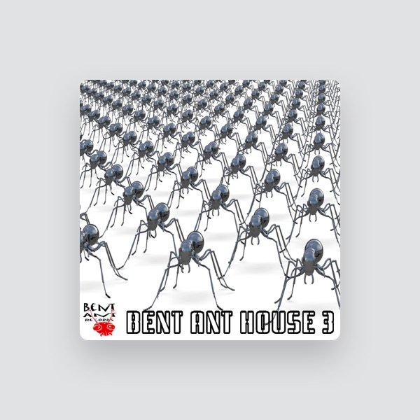 Djhaili's avatar