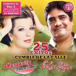25 Éxitos, Vol. 1