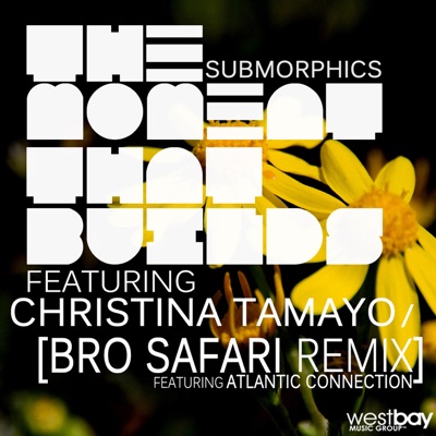 The Moment That Builds (feat. Christina Tamayo) - Single