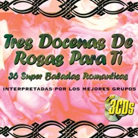 Salvador's - Derrumbes