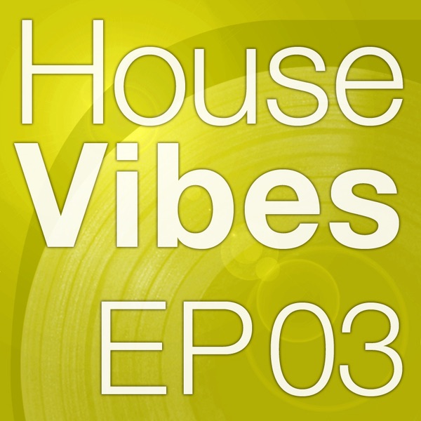 Mettle Music Presents House Vibes EP3 - Single