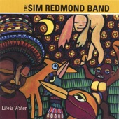 Sim Redmond Band - Life Is Water