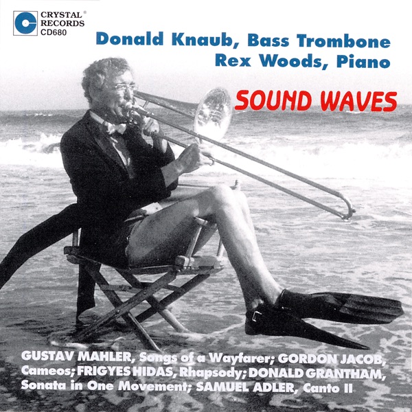 Sound Waves album cover