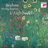 Sextet No. 1 In B-flat Major, Op.18: I. Allegro Ma Non Troppo