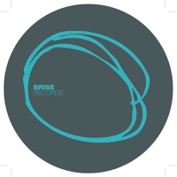 Fog, Arara & Fog & Arara - Palmaflava (Mendo Remix)