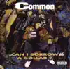 Common - Blows to the Temple