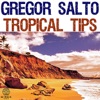 Nelson Freire Tao Sabe (feat. Nelson Freitas) [Stefan Vilijn Remix] Gregor Salto Tropical Tips