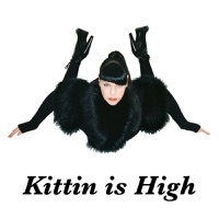 Miss Kittin - Kittin Is High (9/11 Mix By Black Labelle)