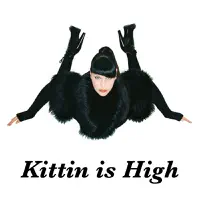 Kittin Is High (9/11 Mix By Black Labelle) — Miss Kittin