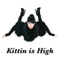 Kittin Is High - Miss Kittin lyrics