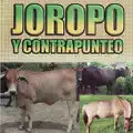 LLanura yo soy tu hijo