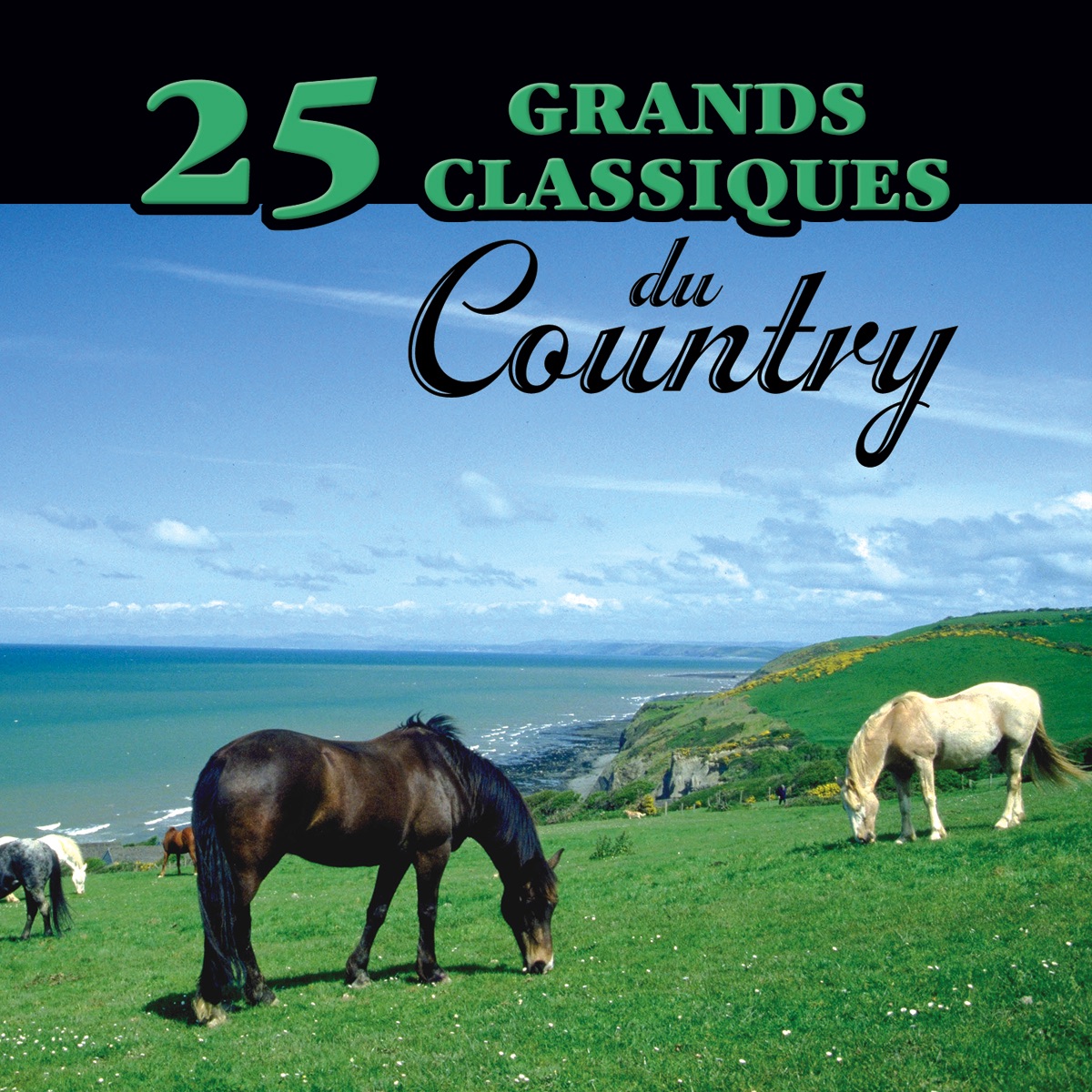 25 grands classiques du country, vol. 4