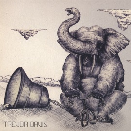 Not Enough Trevor Davis