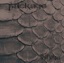 package (usually edition)