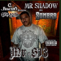 Mr. S13 - Mr. Shadow