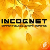Summer Feelings/autumn Memories - Single - Incognet