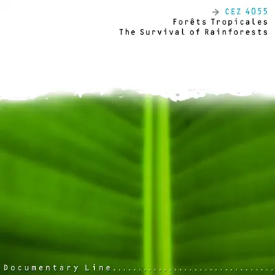 Listen to Forêts tropicales (The Survival of Rainforests) by Various Artists