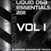 Liquid D&B Essentials 2011 Vol1, 2011