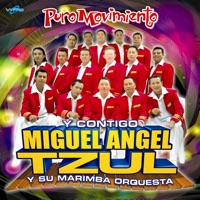 Miguel Angel Tzul y Su Marimba Orquesta - Merengue Mix 3 - Que Tengo Que Hacer