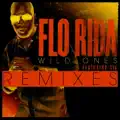 Wild Ones (Remix) (feat. Sia)
