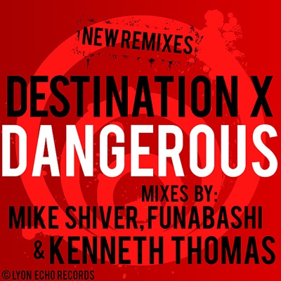 Dangerous: More Mixes