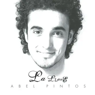 Sólo Canto Por Vos by Abel Pintos song reviws