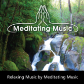 Cover art for Relaxing & Yoga Music by Meditating Music