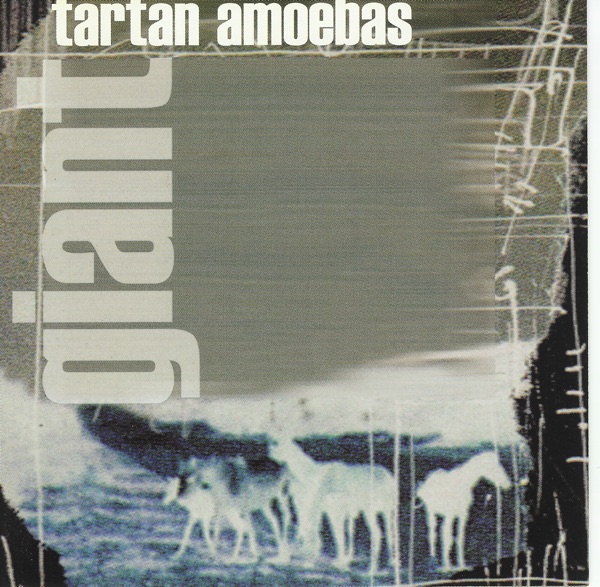 Giant album cover