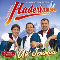 Zillertaler Haderlumpen - Heimaterde